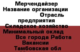 Мерчендайзер › Название организации ­ Team PRO 24 › Отрасль предприятия ­ Складское хозяйство › Минимальный оклад ­ 25 000 - Все города Работа » Вакансии   . Тамбовская обл.,Моршанск г.